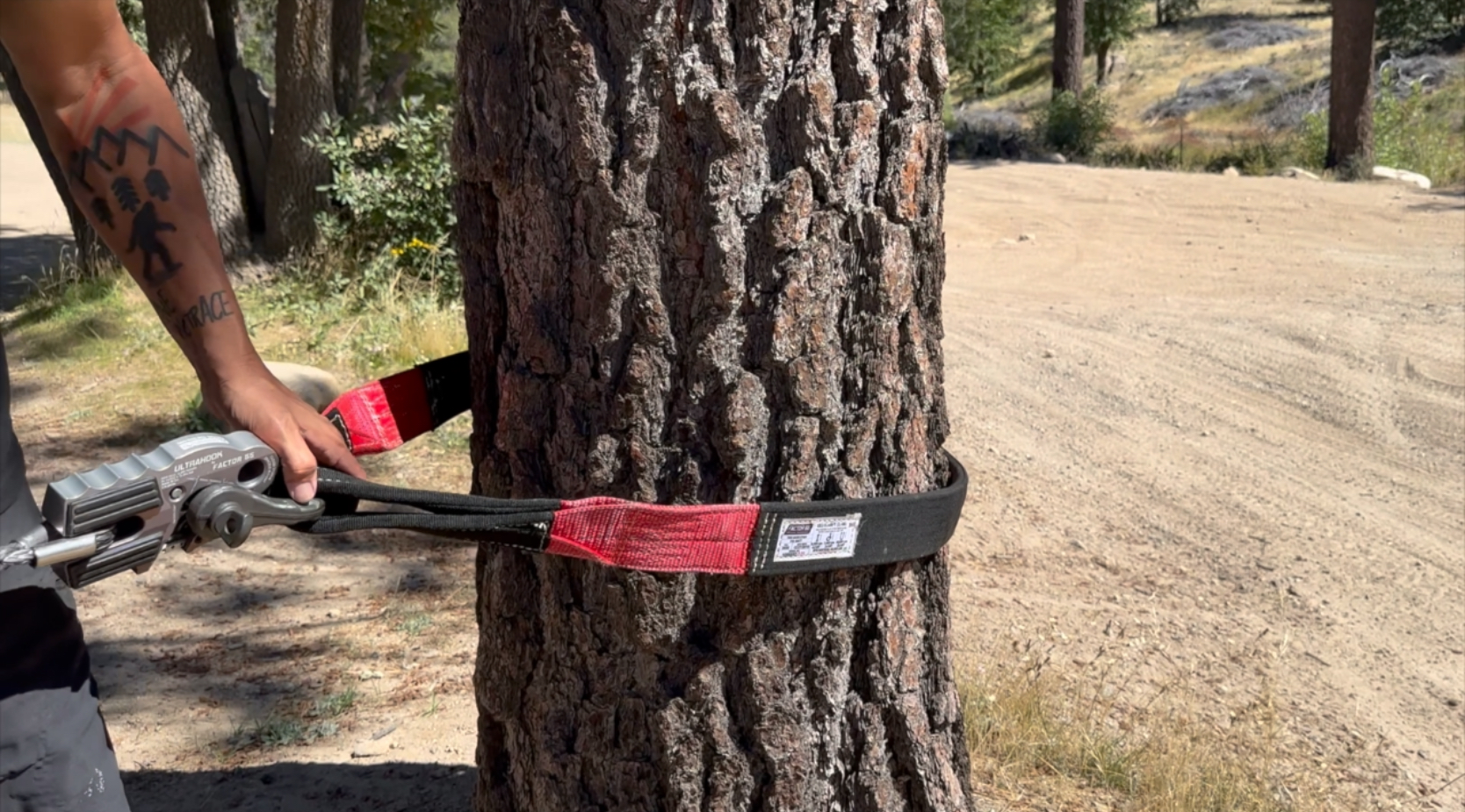 What is a Tree Strap?