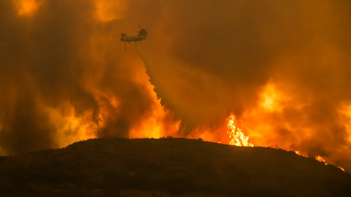 Responsible Trail Use After a Wildfire